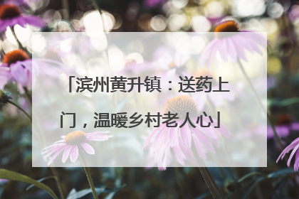 滨州黄升镇：送药上门，温暖乡村老人心